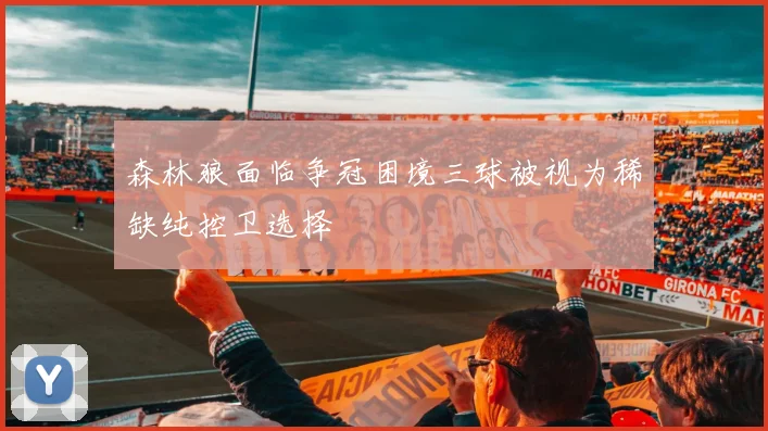 森林狼面临争冠困境三球被视为稀缺纯控卫选择