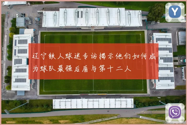 辽宁铁人球迷专访揭示他们如何成为球队最强后盾与第十二人